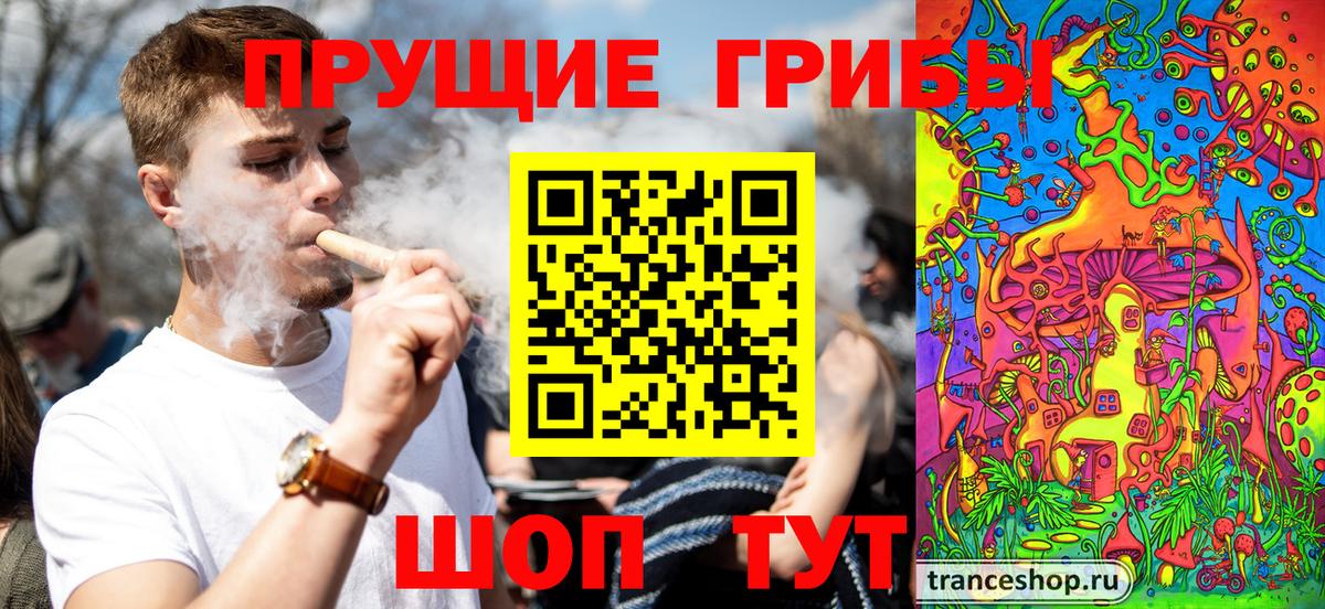 купить наркотик  Псилоцибиновые грибы MAGIC MUSHROOMS  Вход с VPN  Ефремов 